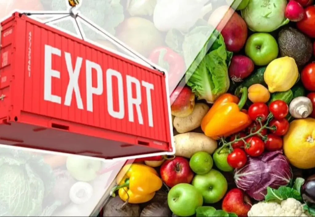 import export products import export products