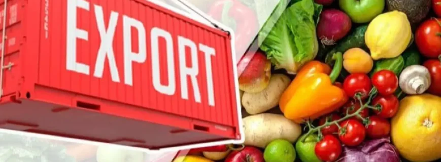 import export products