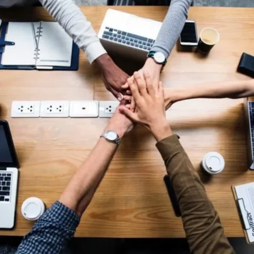 Delivery & Ongoing Support