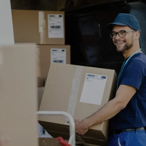 Delivery & Ongoing Support